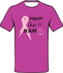 breastcancerT Support Breast Cancer
