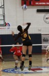 cowan mid spike cowan mid spike