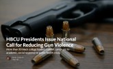 Reducing Gun Violence